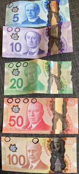 Canadian paper currency, with circles drawn on around the areas where there is Braille